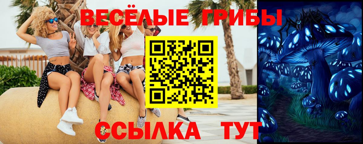 Камышлов  Псилоцибиновые грибы ЛСД  закладка  Вход с VPN  Галлюциногенные грибы Psilocybe 